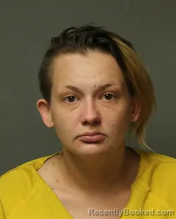 Mugshot of BRANDI EVA MAE REED booked in Bland County, Virginia on April 21, 2026