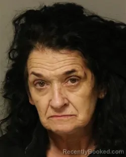 Mugshot of CANDIA LOIS COOK booked in Bland County, Virginia on April 22, 2026