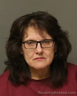 Mugshot of TINA LYNN DALTON booked in Bland County, Virginia on April 25, 2026