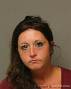 Mugshot of MORGAN ELAINE BURCHETT booked in Bland County, Virginia on April 25, 2026