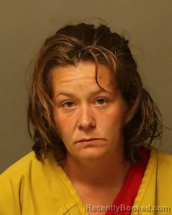 Mugshot of KELLY MONIQUE VAUGHAN booked in Bland County, Virginia on May 5, 2026
