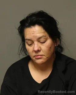 Mugshot of CHELSI ALISON BURNETTE booked in Bland County, Virginia on May 19, 2026