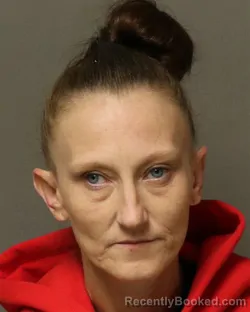 Mugshot of MELANIE DENISE HALL booked in Bland County, Virginia on June 9, 2026