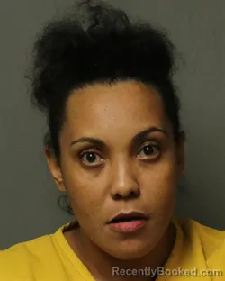 Mugshot of TONYA RENEE ROSE booked in Bland County, Virginia on June 15, 2026