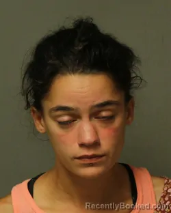 Mugshot of Mary Lu Hudgins booked in Bland County, Virginia on July 27, 2026