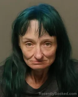 Mugshot of Tracy Lynn Smith booked in Bland County, Virginia on July 28, 2026