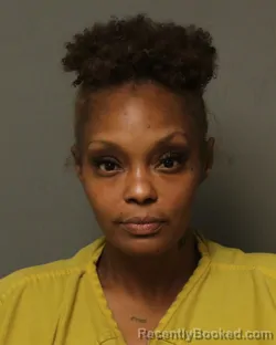 Mugshot of CRYSTAL YVETTE GAMBILL-AUSTIN booked in Bland County, Virginia on July 29, 2026
