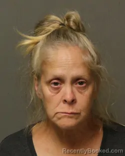 Mugshot of CHERYL ANN LAWSON booked in Bland County, Virginia on August 3, 2026