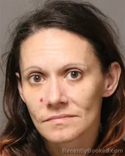 Mugshot of Ashley Ann Williams booked in Bland County, Virginia on August 22, 2026