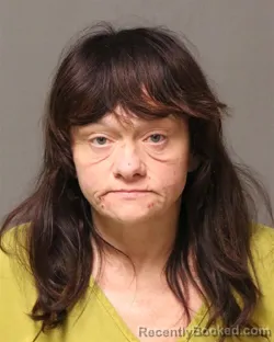 Mugshot of Tina Faye Davis booked in Bland County, Virginia on August 25, 2026