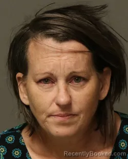 Mugshot of Pamela Christine Walls booked in Bland County, Virginia on August 28, 2026