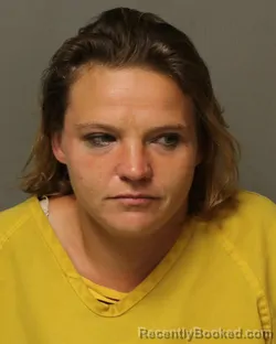 Mugshot of Michelle Ann Smith booked in Bland County, Virginia on September 2, 2026