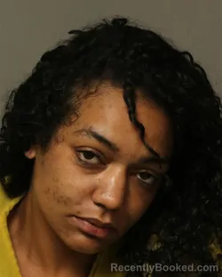 Mugshot of Lenisha Chante Hinkley-Roop booked in Bland County, Virginia on September 7, 2026