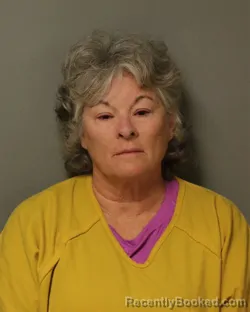 Mugshot of Diana Lynn Dobbins booked in Bland County, Virginia on September 11, 2026