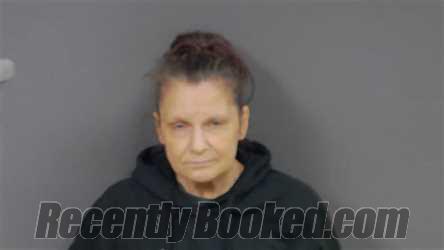 Booking photo from Botetourt County, Virginia