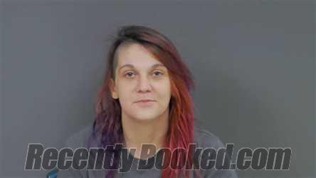 Booking photo from Botetourt County, Virginia