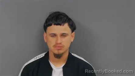 Mugshot of Alexis Steve Mendez Duenas