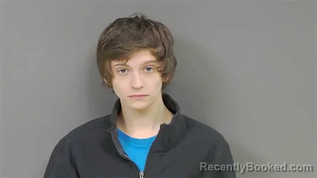 Mugshot of Zane Merio Brizzi