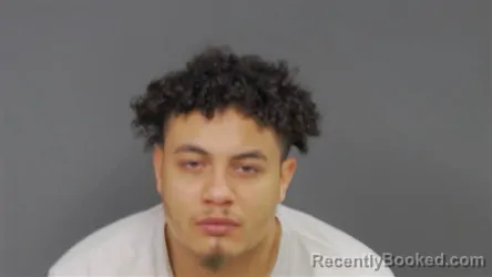 Mugshot of Luis Alberto Swann