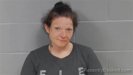 Mugshot of Toni Ann Franklin booked in Botetourt County, Virginia on April 21, 2026