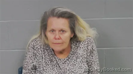 Mugshot of Peggy Sue Sparks booked in Botetourt County, Virginia on May 11, 2026