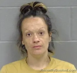 Mugshot of Savannah Dawn Chambers booked in Botetourt County, Virginia on June 30, 2026
