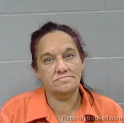 Mugshot of Crystal Gwen Mcginnis booked in Botetourt County, Virginia on September 17, 2026