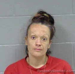 Mugshot of Savannah Dawn Chambers booked in Botetourt County, Virginia on September 17, 2026