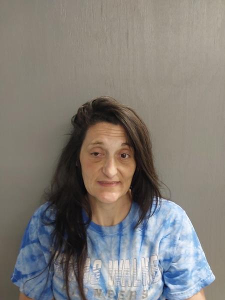 Mugshot of Barbara Marie Bishop booked in Buchanan County, Virginia on August 24, 2026