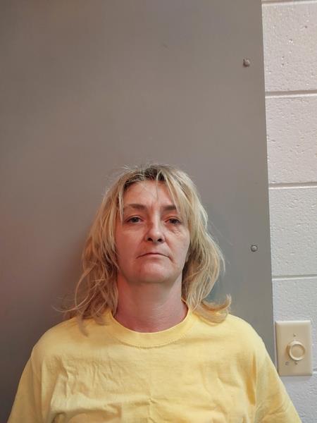 Mugshot of Brilla Louise Wade booked in Buchanan County, Virginia on April 24, 2026