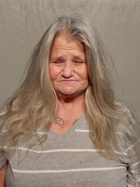 Mugshot of Connie Sue Presley booked in Buchanan County, Virginia on September 2, 2026