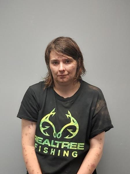 Mugshot of Courtney Fay Veselosky booked in Buchanan County, Virginia on July 10, 2026