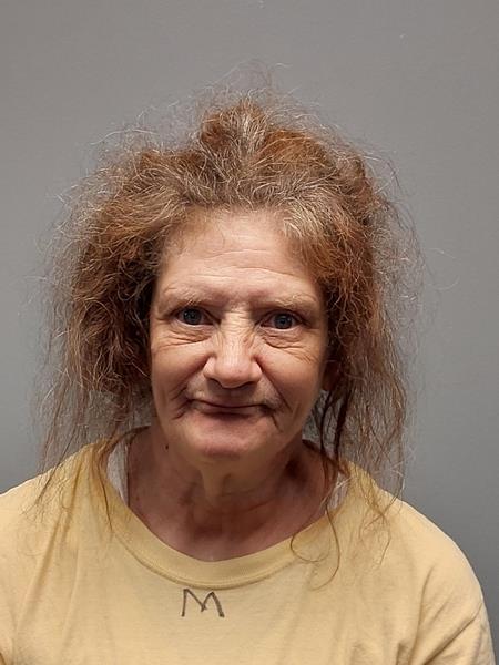 Mugshot of Ellen Brandee Gheen booked in Buchanan County, Virginia on July 8, 2026