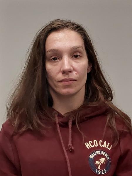 Mugshot of Elizabeth D Savinsky