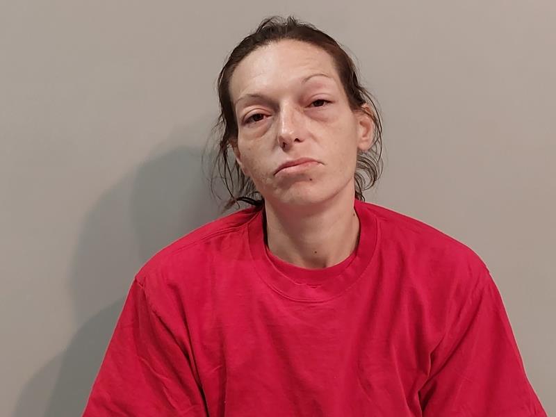Mugshot of Julianna Rose Dickenson booked in Buchanan County, Virginia on August 31, 2026