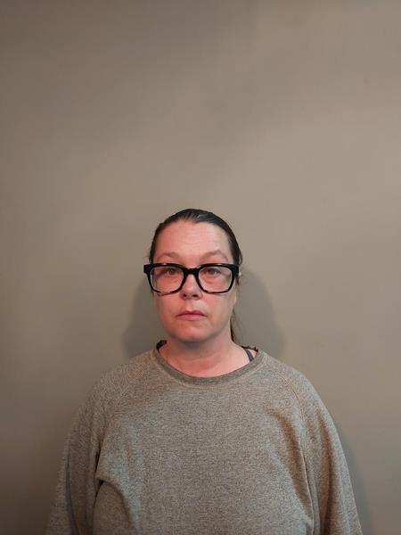 Mugshot of Lana Kay Hamilton booked in Buchanan County, Virginia on July 9, 2026