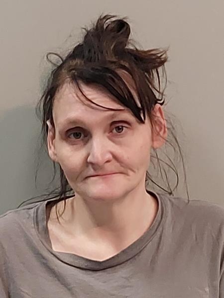 Mugshot of Lisa Michelle Johnson booked in Buchanan County, Virginia on September 25, 2026
