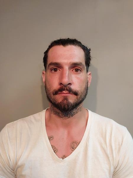 Mugshot of Logan Robert Perlini booked in Buchanan County, Virginia on July 1, 2026
