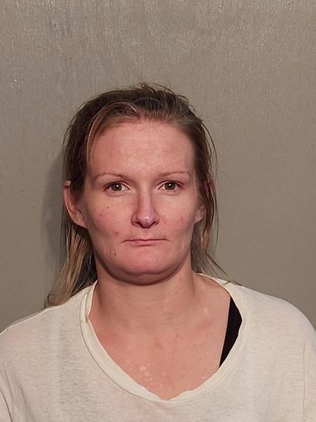 Mugshot of Megan Reed booked in Buchanan County, Virginia on September 2, 2026