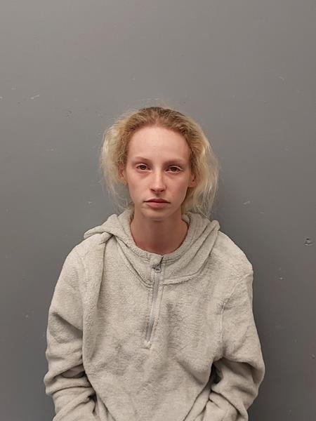 Mugshot of Madison Paige Shupe booked in Buchanan County, Virginia on September 13, 2026