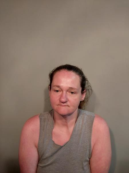 Mugshot of Nila Nicole Bullins booked in Buchanan County, Virginia on April 29, 2026