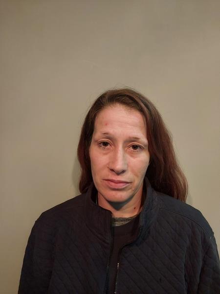 Mugshot of Rachel Nicole Fields booked in Buchanan County, Virginia on March 8, 2026