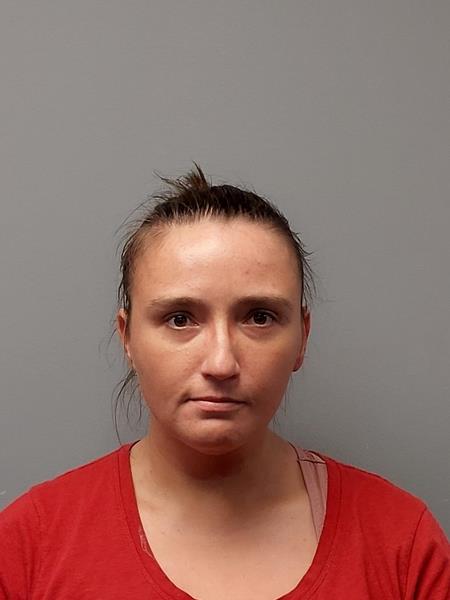 Mugshot of Sarina Suellyn Ferrell booked in Buchanan County, Virginia on March 16, 2026