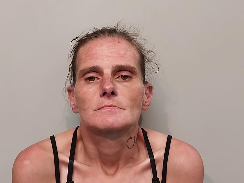 Mugshot of Tosha Kay Brown booked in Buchanan County, Virginia on July 3, 2026