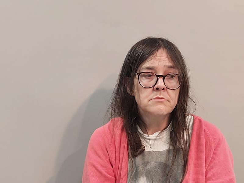 Mugshot of Tina Marie Delp booked in Buchanan County, Virginia on August 27, 2026