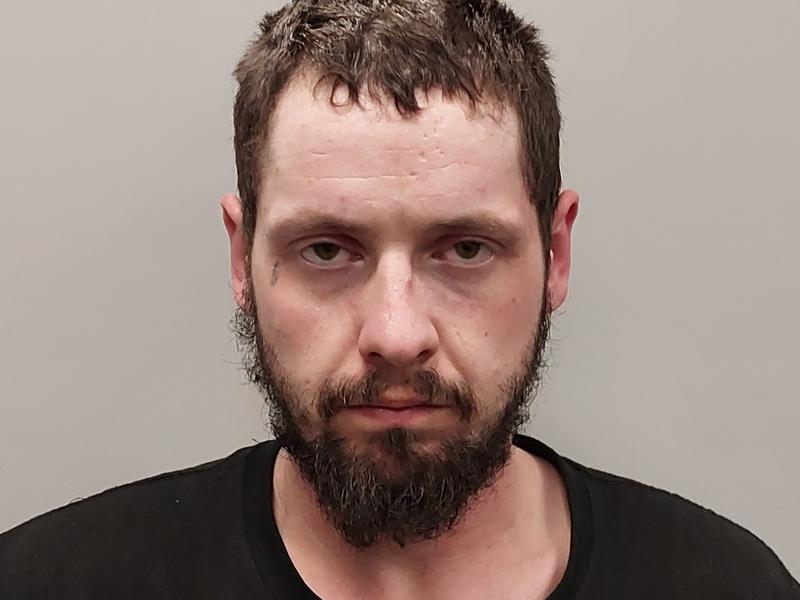 Mugshot of Thomas Michael Meek