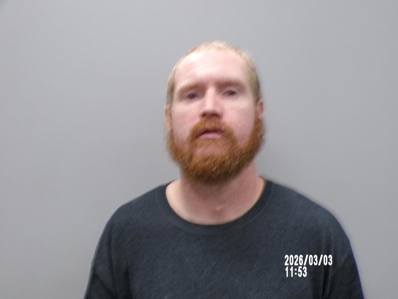 Mugshot of Wayne Anthony Johnson