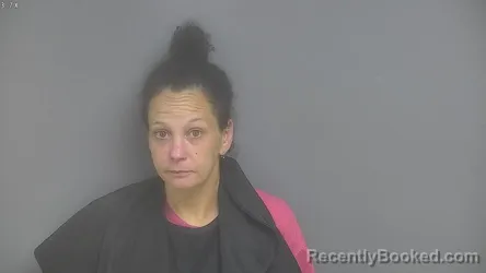 Mugshot of AMY LEIGH BOWER booked in Campbell County, Virginia on June 26, 2026