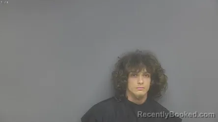 Mugshot of DAVID WAYNE HENRY booked in Campbell County, Virginia on June 6, 2026