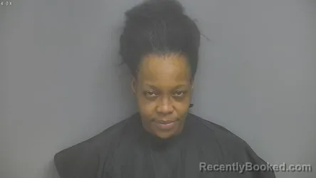 Mugshot of ERICA YVETTE ELAM